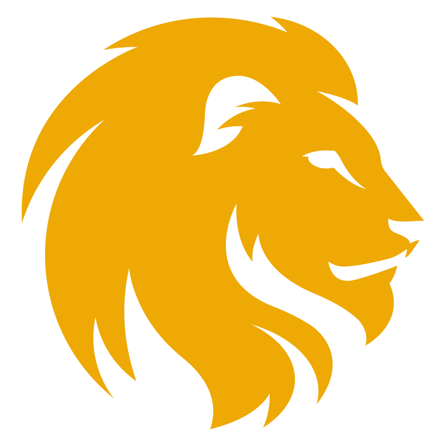 icon - /uploads/s/f/s/k/fsk2d9x9nulx/img/full_n2hImnDq.png